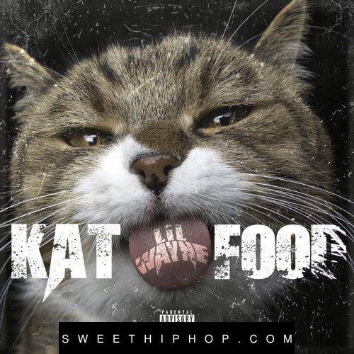 Lil Wayne – Kat Food