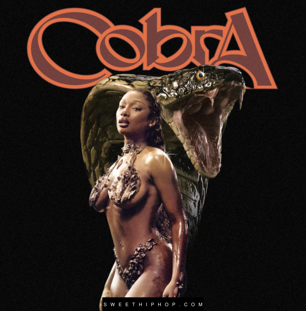 Megan Thee Stallion – Cobra